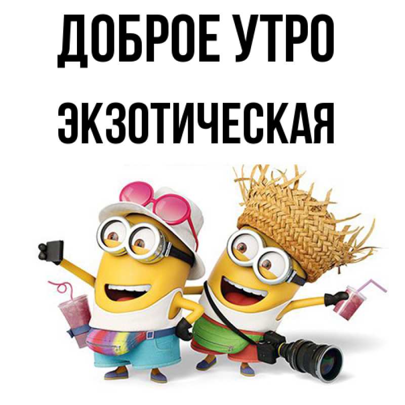 Картинка Доброе утро, Экзотическая