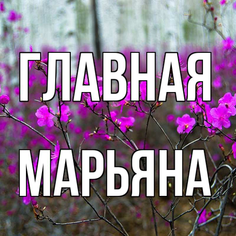 Картинка  с именем , Марьяна