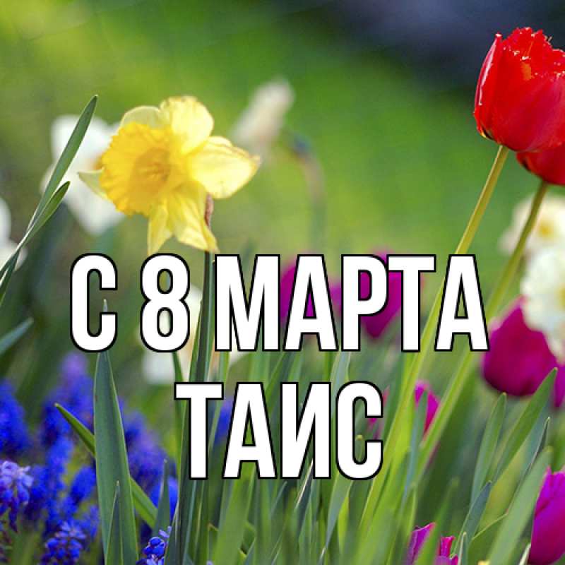 Картинка C 8 МАРТА, Таис