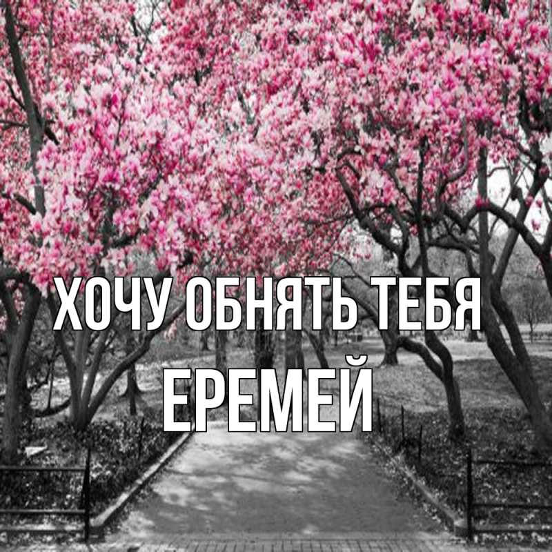 Картинка Хочу обнять тебя, Еремей