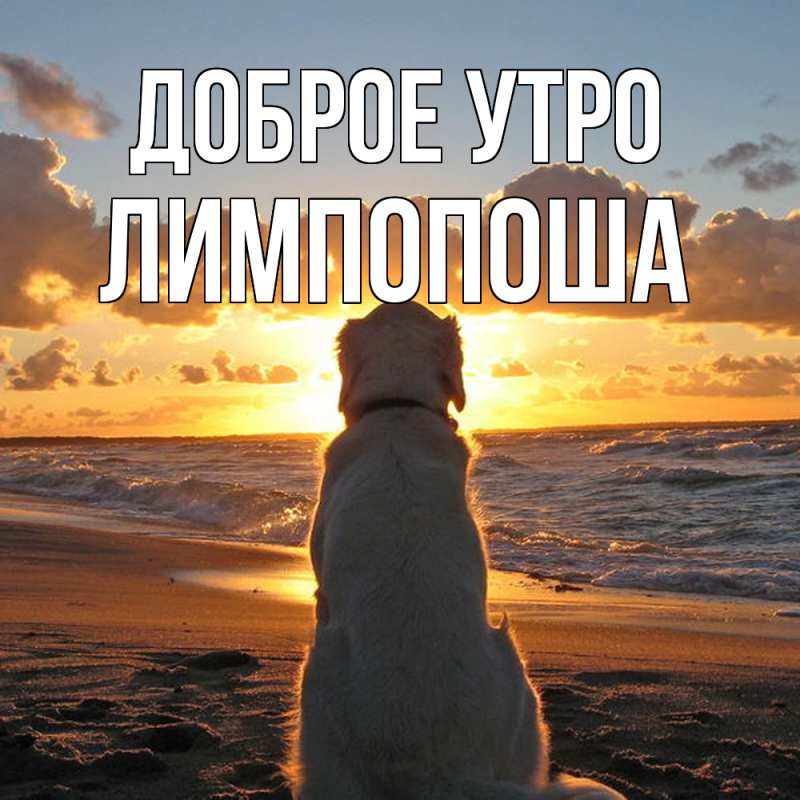 Картинка Доброе утро, лимпопоша