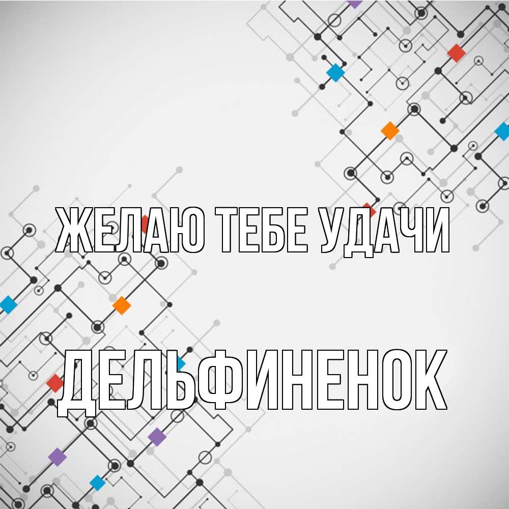 Открытка на каждый день с именем, дельфиненок Желаю тебе удачи на удач Прикольная открытка с пожеланием онлайн скачать бесплатно 