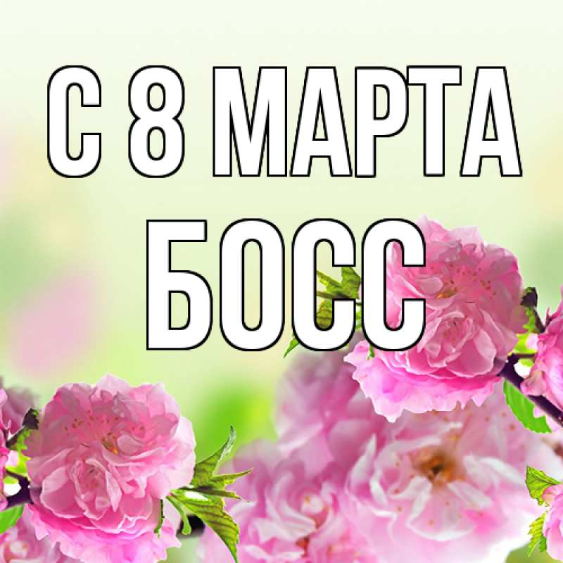 Картинка C 8 МАРТА, Босс