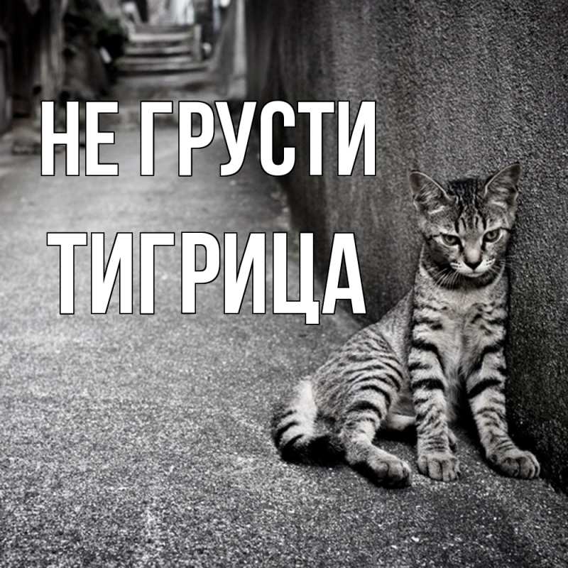 Картинка Не грусти, Тигрица