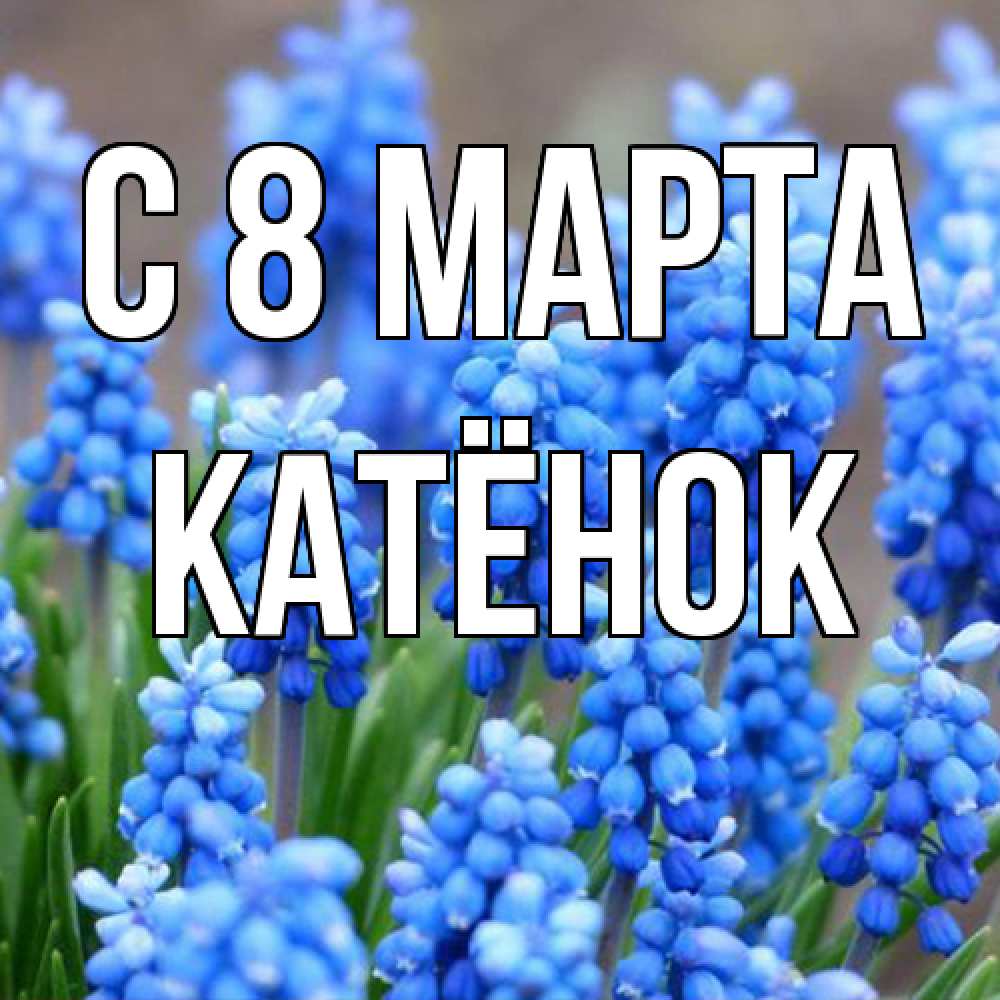 Открытка на каждый день с именем, Катёнок C 8 МАРТА Поздравительная открытка для женщин с цветами на праздничную дату Прикольная открытка с пожеланием онлайн скачать бесплатно 