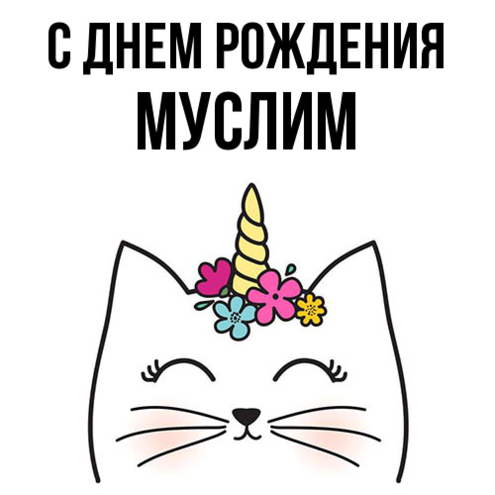 Открытка на каждый день с именем, Муслим С днем рождения милый кот с одним рожком Прикольная открытка с пожеланием онлайн скачать бесплатно 