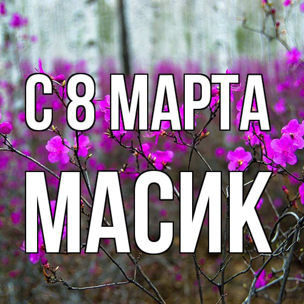 Открытка на каждый день с именем, Масик C 8 МАРТА дикие цветы Прикольная открытка с пожеланием онлайн скачать бесплатно 