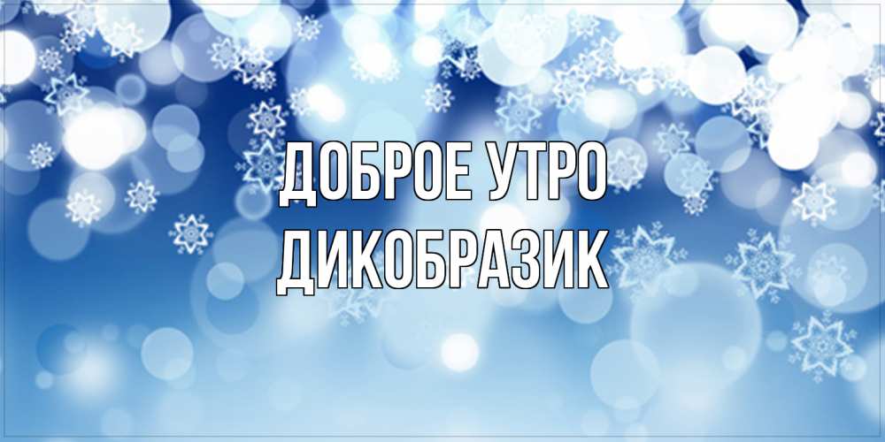 Открытка на каждый день с именем, дикобразик Доброе утро супер открытка Прикольная открытка с пожеланием онлайн скачать бесплатно 