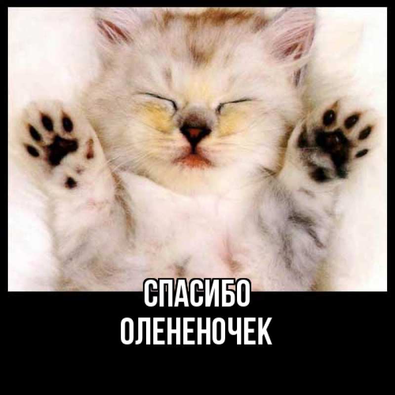 Картинка Спасибо, Олененочек