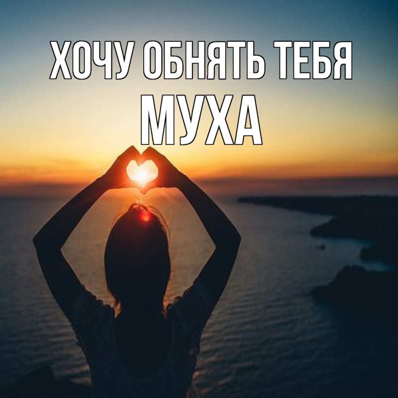 Картинка Хочу обнять тебя, Муха