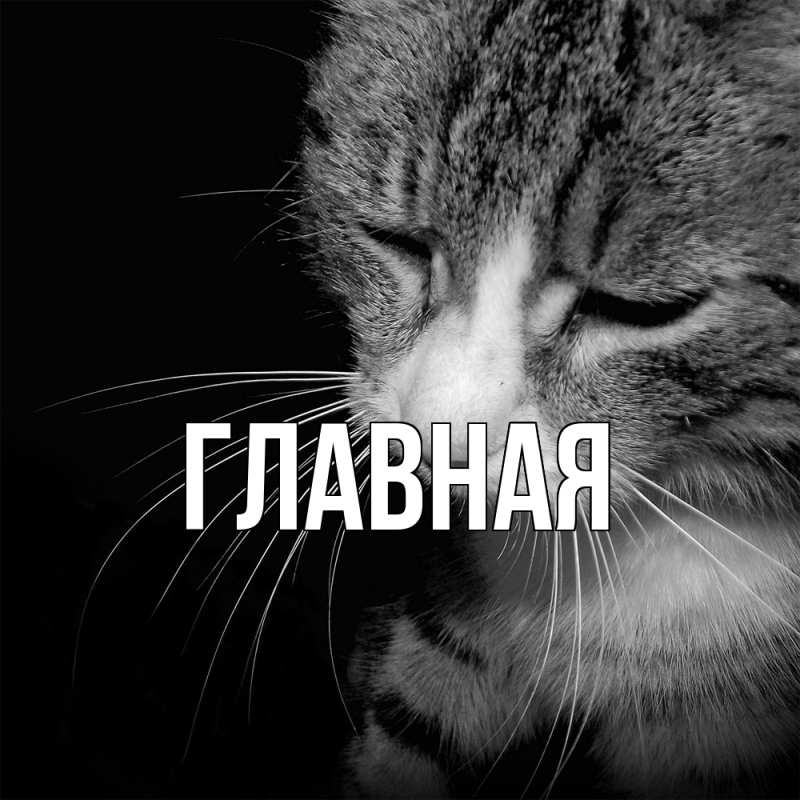 Картинка  с именем , настя