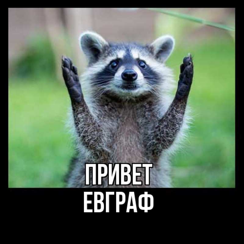Картинка Привет, Евграф