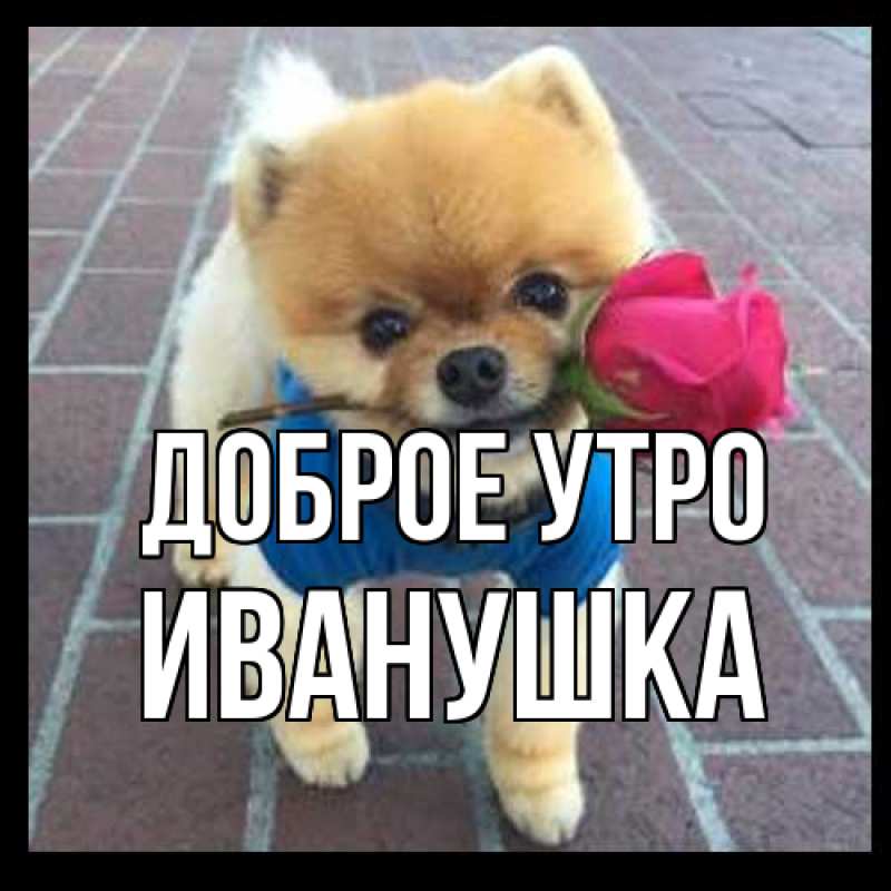 Картинка Доброе утро, Иванушка