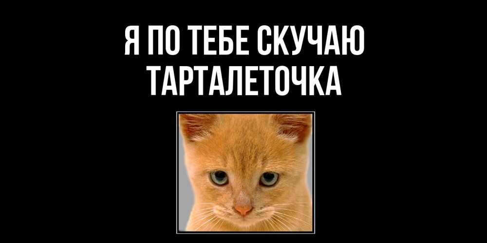 Открытка на каждый день с именем, Тарталеточка Я по тебе скучаю открытки рыжий котенок скучает по тебе Прикольная открытка с пожеланием онлайн скачать бесплатно 