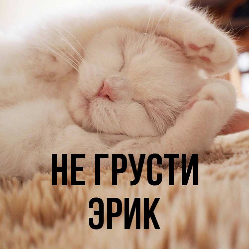 Открытка на каждый день с именем, Эрик Не грусти Котенок спит Прикольная открытка с пожеланием онлайн скачать бесплатно 