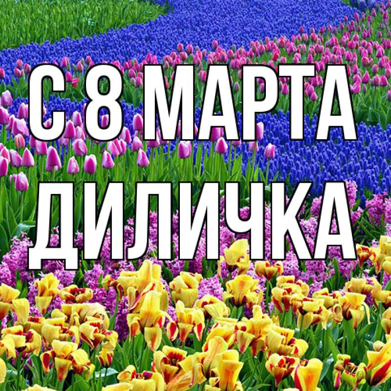 Картинка C 8 МАРТА, Диличка