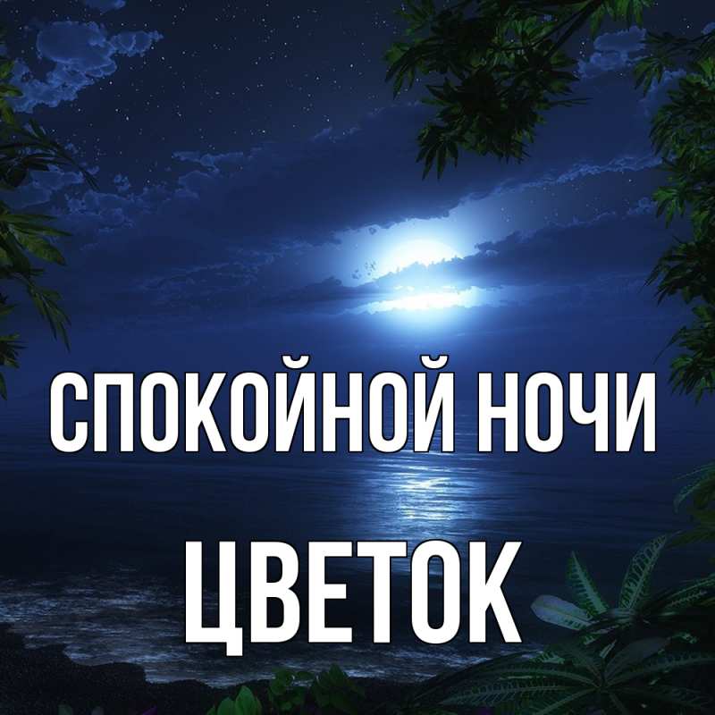 Картинка Спокойной ночи, Цветок