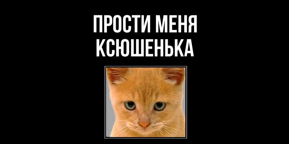 Открытка на каждый день с именем, Ксюшенька Прости меня рыжий грустный кот просит прощения Прикольная открытка с пожеланием онлайн скачать бесплатно 