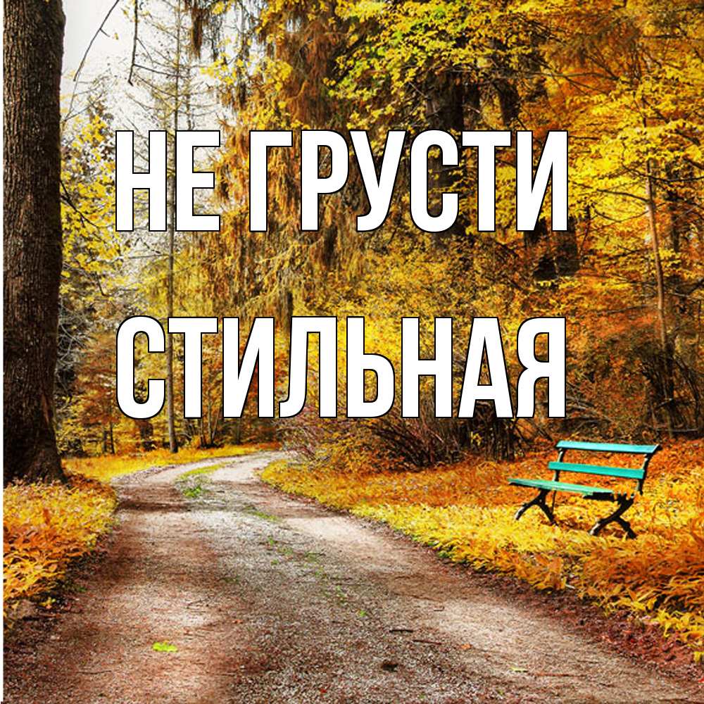 Открытка на каждый день с именем, Стильная Не грусти зеленая лавочка Прикольная открытка с пожеланием онлайн скачать бесплатно 