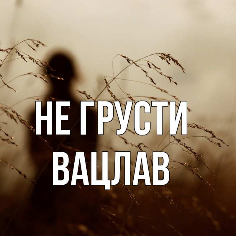Картинка Не грусти, Вацлав