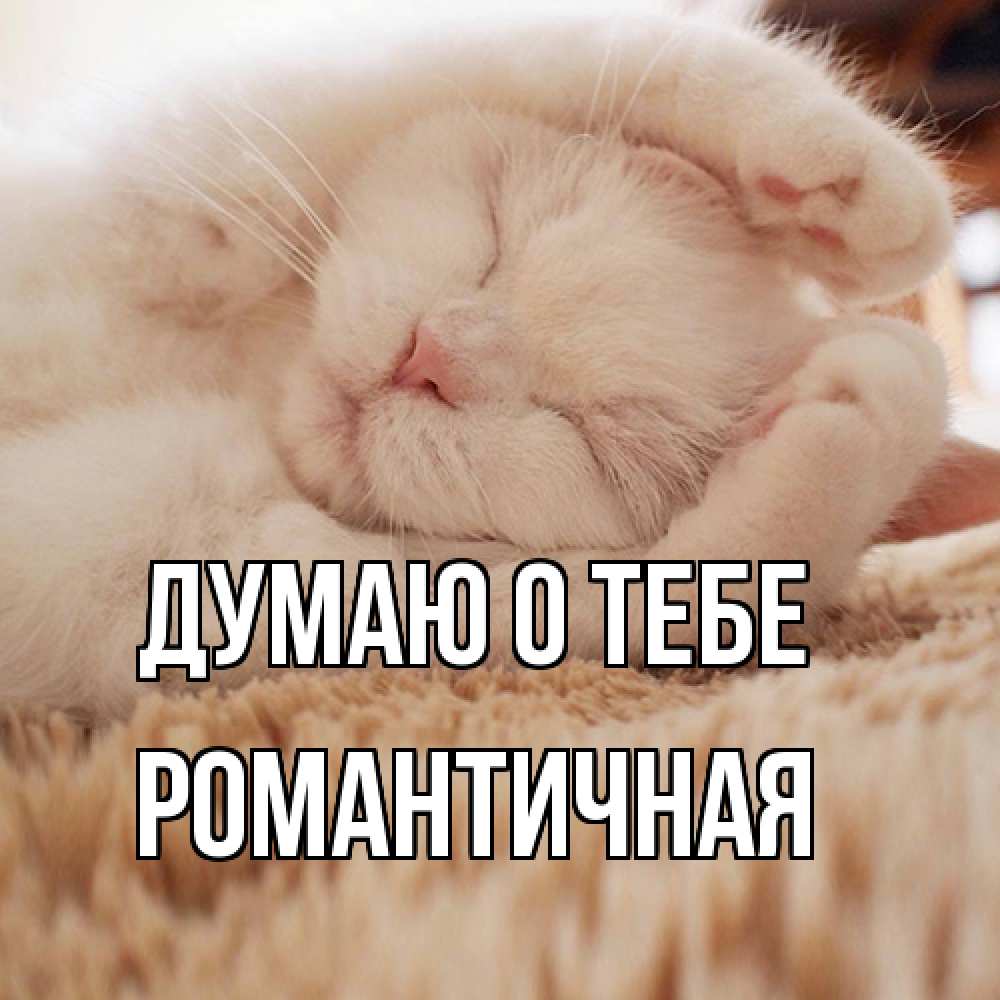 Открытка на каждый день с именем, Романтичная Думаю о тебе для любимой девушки милота Прикольная открытка с пожеланием онлайн скачать бесплатно 