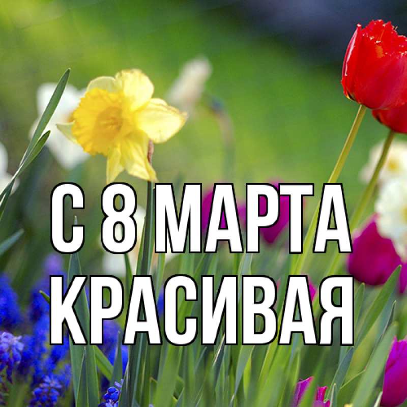 Картинка C 8 МАРТА, Красивая