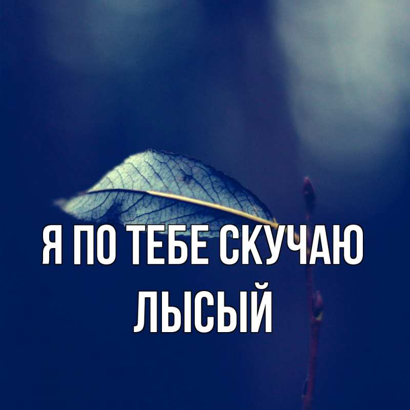 Картинка Я по тебе скучаю, Лысый