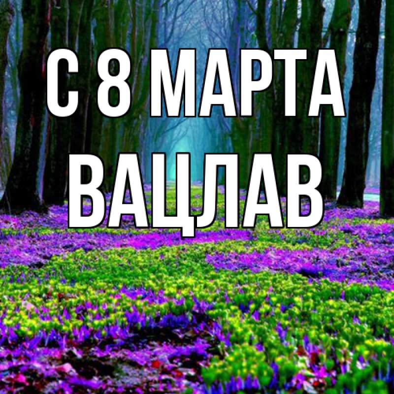 Картинка C 8 МАРТА, Вацлав