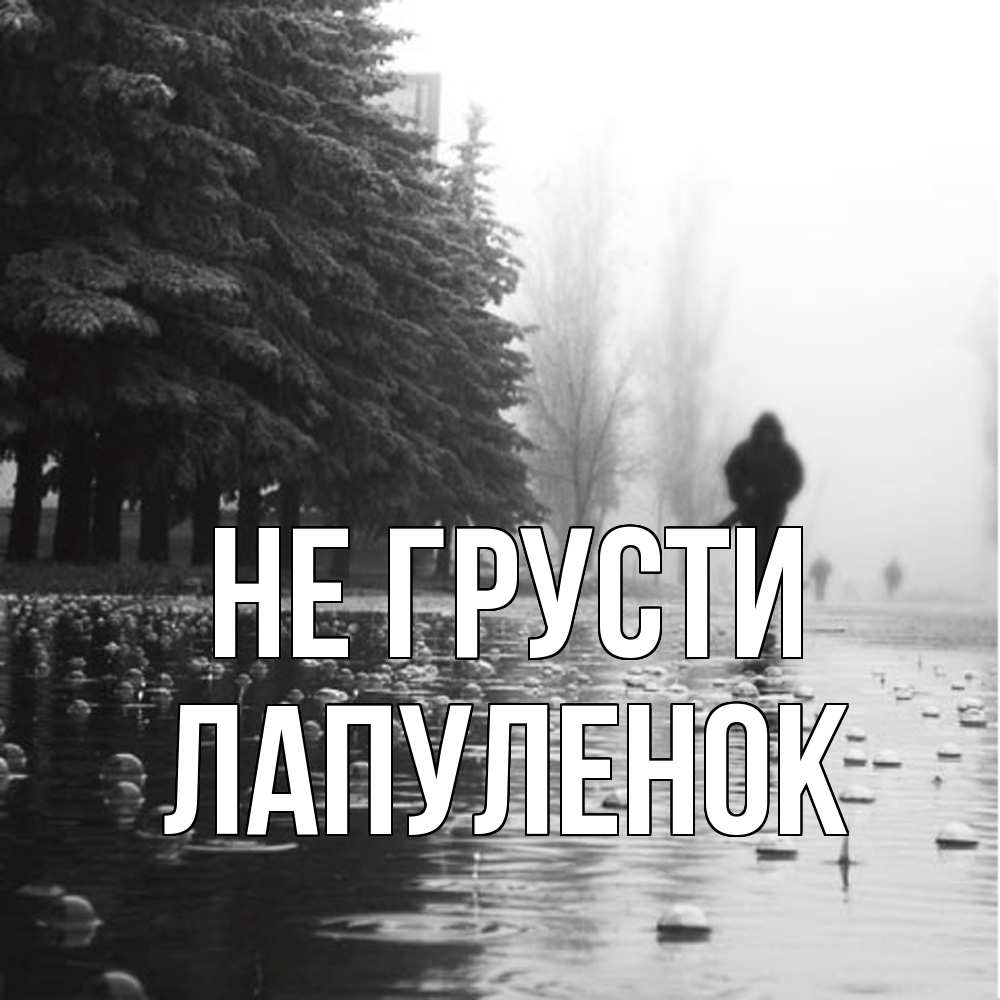 Открытка на каждый день с именем, Лапуленок Не грусти улица под дождем Прикольная открытка с пожеланием онлайн скачать бесплатно 