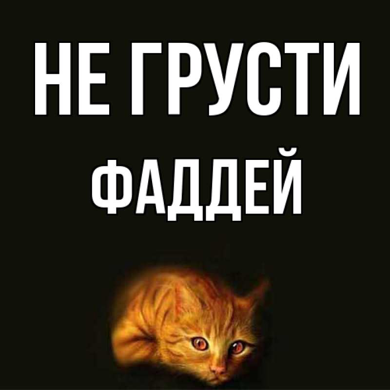Картинка Не грусти, Фаддей