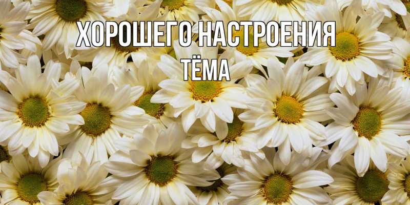 Картинка Хорошего настроения, Тёма