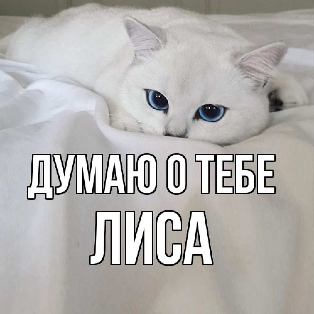 Открытка на каждый день с именем, лиса Думаю о тебе я очень по тебе скучаю и тоскую Прикольная открытка с пожеланием онлайн скачать бесплатно 