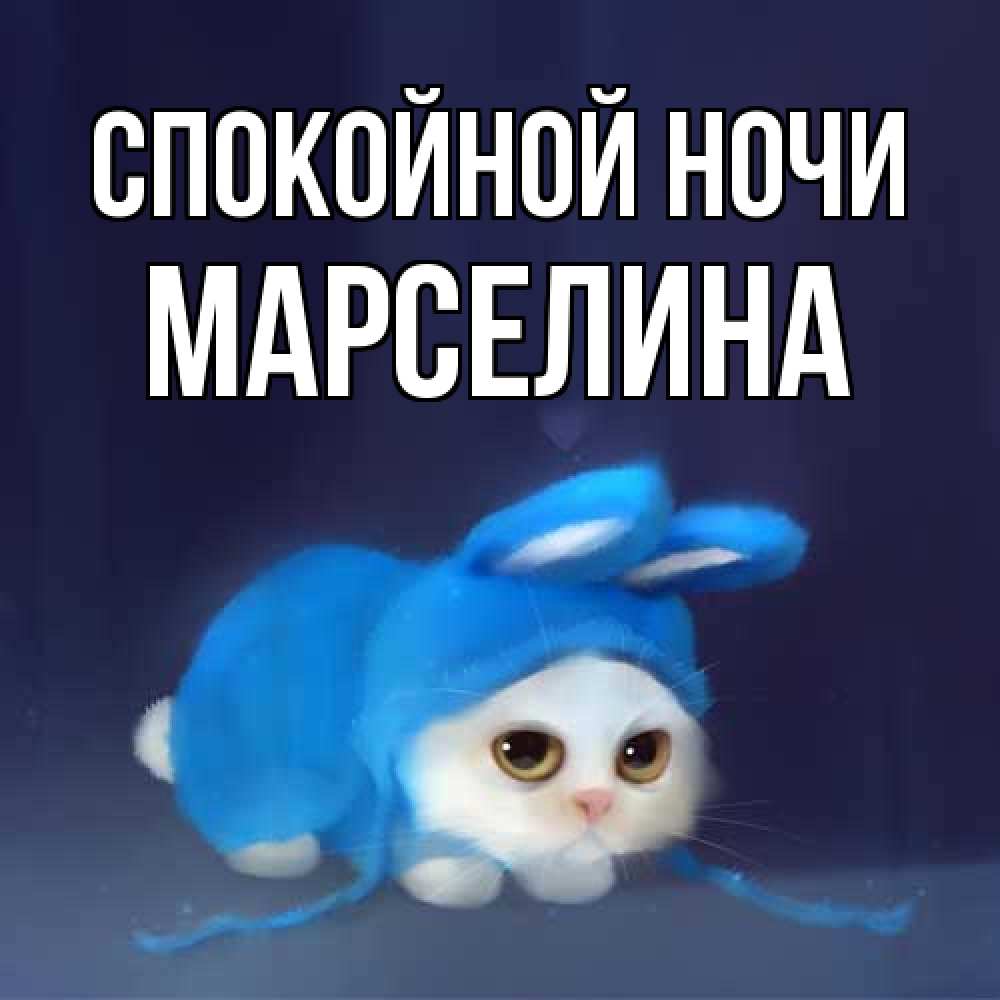 Открытка на каждый день с именем, Марселина Спокойной ночи кот в голубом костюме кролика с ушками Прикольная открытка с пожеланием онлайн скачать бесплатно 