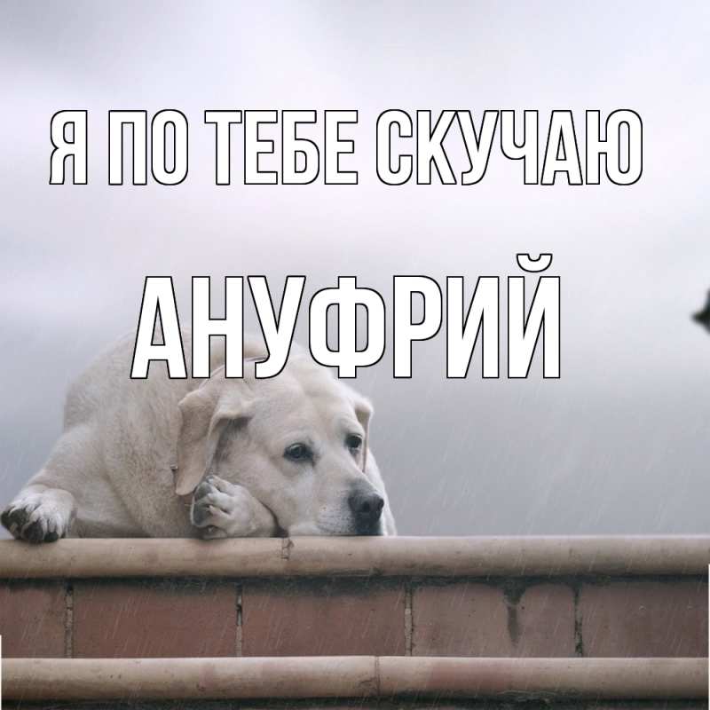 Картинка Я по тебе скучаю, Ануфрий