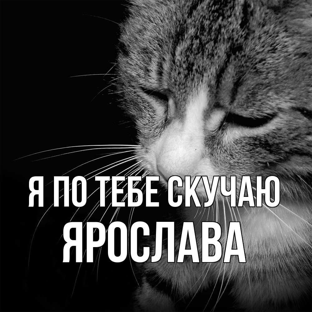Открытка на каждый день с именем, Ярослава Я по тебе скучаю мне скучно Прикольная открытка с пожеланием онлайн скачать бесплатно 