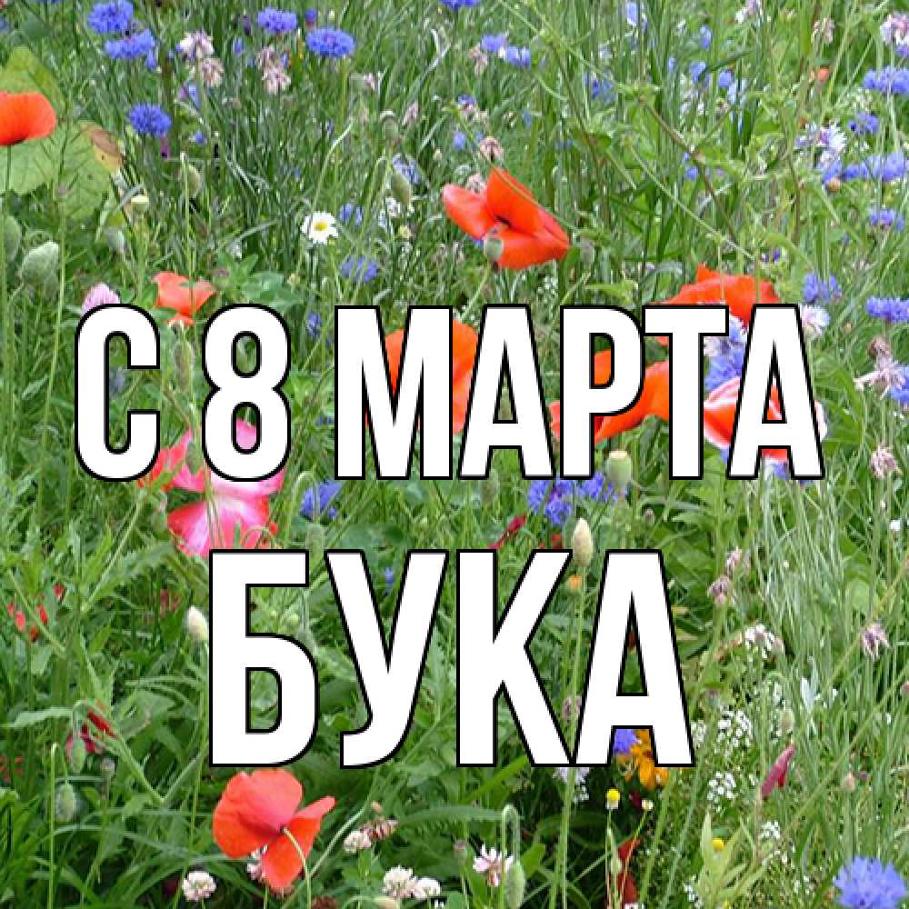 Открытка на каждый день с именем, Бука C 8 МАРТА международный женский день 4 Прикольная открытка с пожеланием онлайн скачать бесплатно 