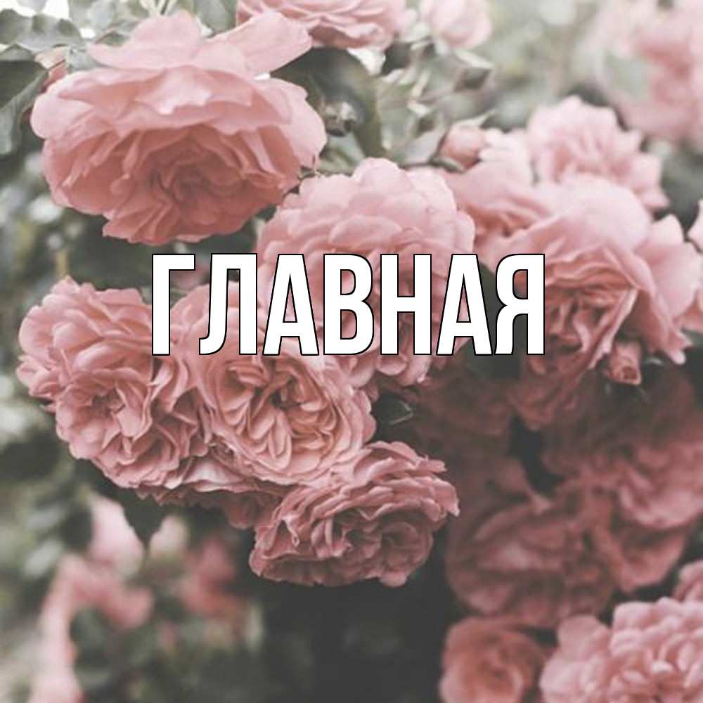 Открытка на каждый день с именем, настя Главная розы 3 Прикольная открытка с пожеланием онлайн скачать бесплатно 