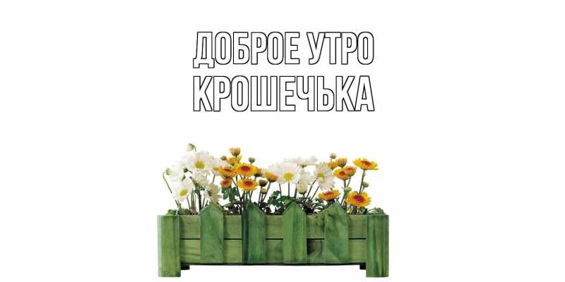 Картинка Доброе утро, Крошечька