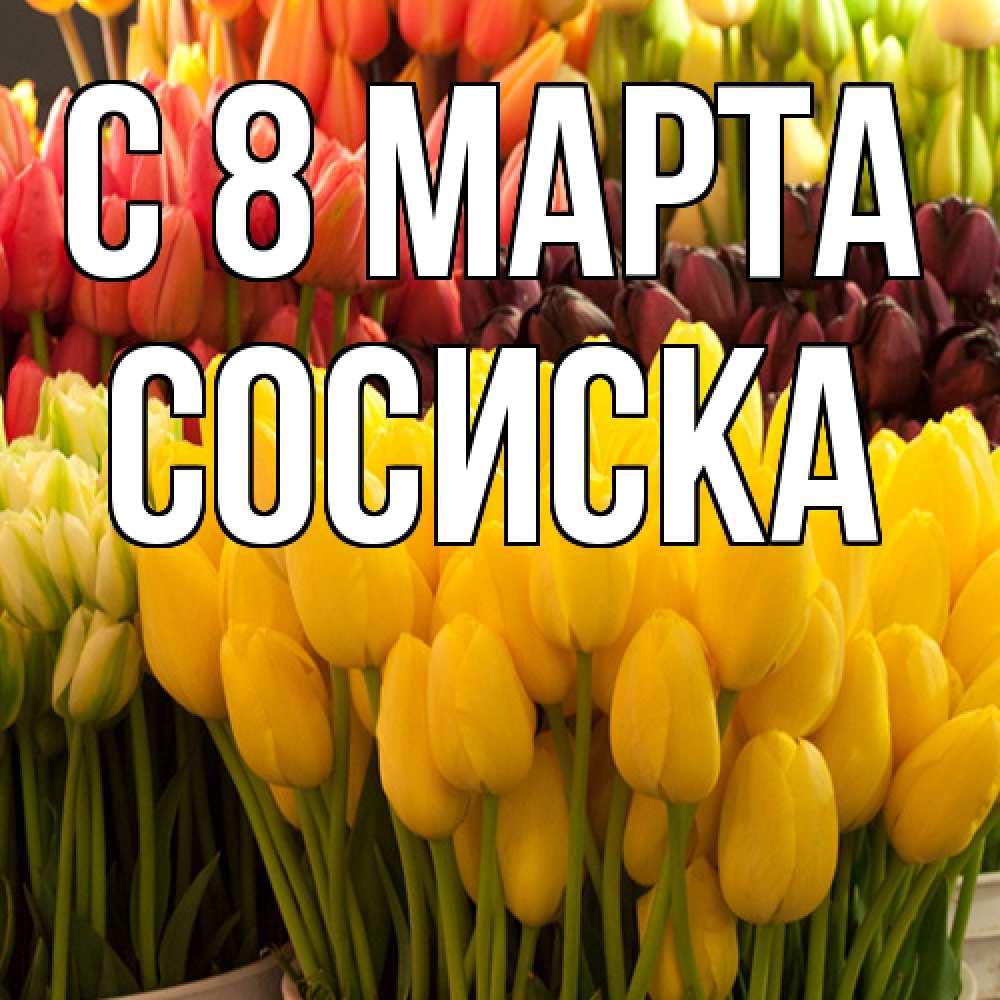 Открытка на каждый день с именем, Сосиска C 8 МАРТА цветы Прикольная открытка с пожеланием онлайн скачать бесплатно 