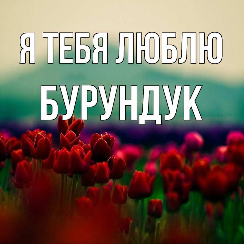 Картинка Я тебя люблю, Бурундук