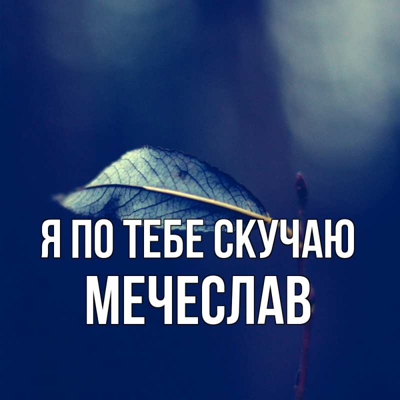 Картинка Я по тебе скучаю, Мечеслав