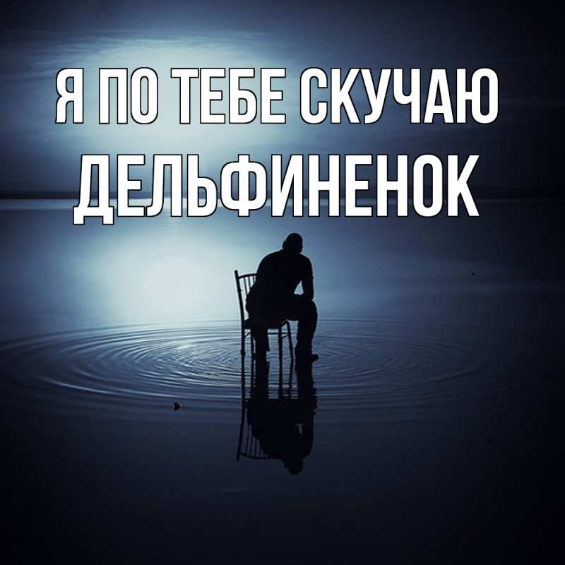 Картинка Я по тебе скучаю, дельфиненок