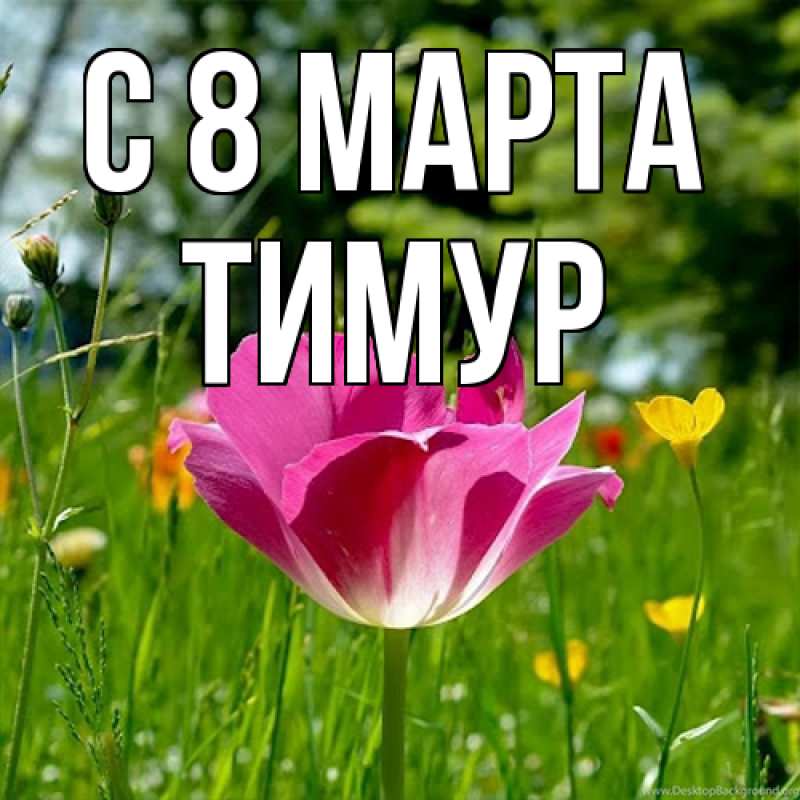 Картинка C 8 МАРТА, Тимур