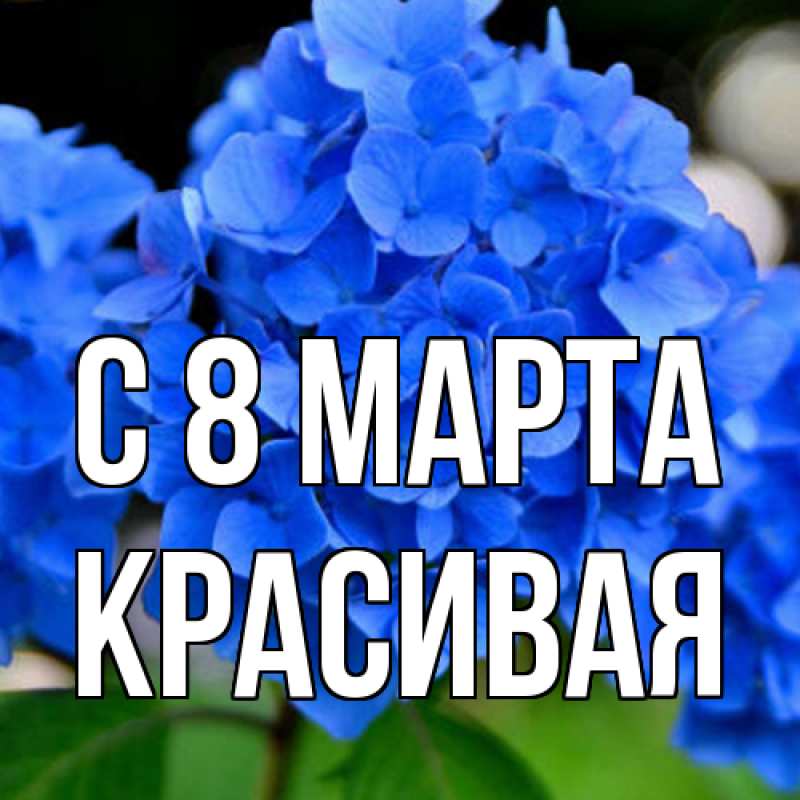 Картинка C 8 МАРТА, Красивая