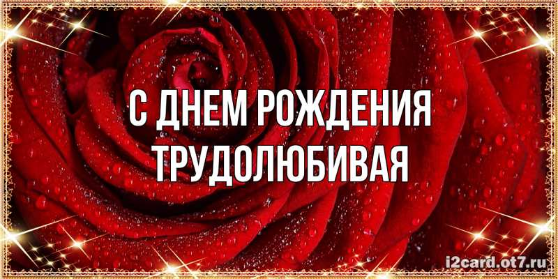 Картинка С днем рождения, Тpудолюбивая