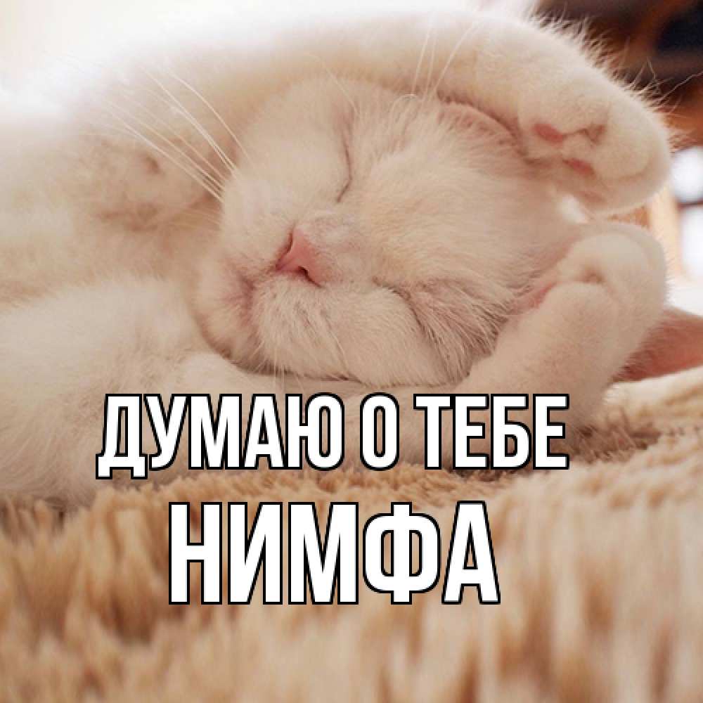 Открытка на каждый день с именем, Нимфа Думаю о тебе для любимой девушки милота Прикольная открытка с пожеланием онлайн скачать бесплатно 