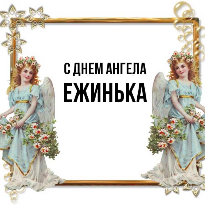 Картинка С днем ангела, ежинька