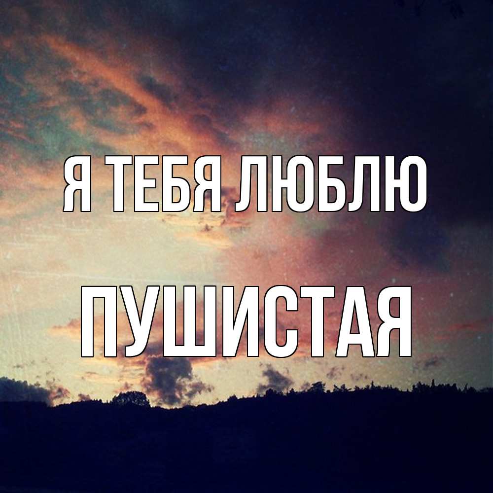 Открытка на каждый день с именем, Пушистая Я тебя люблю закат Прикольная открытка с пожеланием онлайн скачать бесплатно 