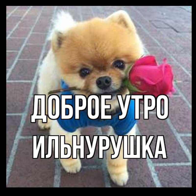 Картинка Доброе утро, Ильнурушка