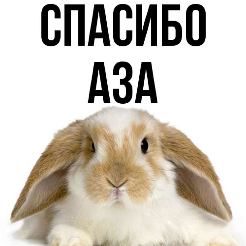 Картинка Спасибо, Аза